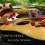 Acoustic Volume 1 Albumcover