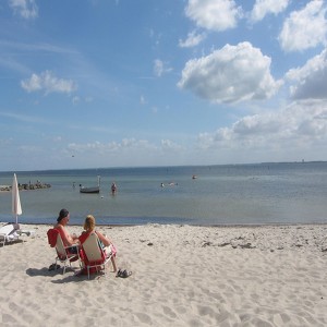 Die Schleswig Holsteiner