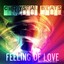 Feeling of Love Instrumentals Albumcover