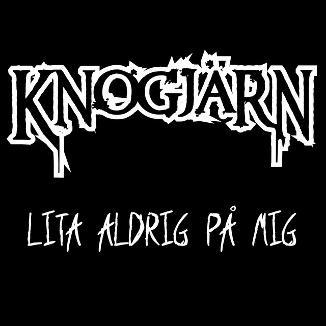 Lita Aldrig På Mig cover