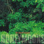 This Coherent Excitation Albumcover
