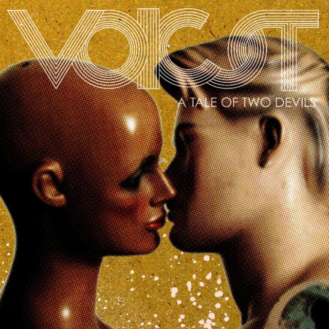 Voicst Photo