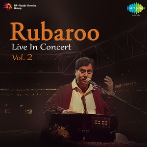 Rubaroo - Live in Concert, Vol. 2 album