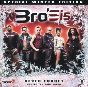 Never Forget (Where You Come From) [Speciall Winter Edit.] cover