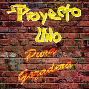 Pura Gozadera album