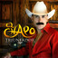 Triunfador cover