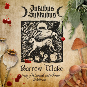 Barrow Wake cover