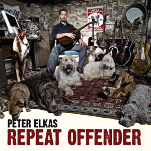 Repeat Offender cover