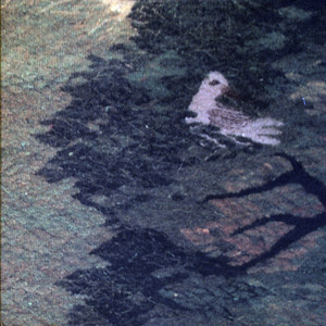 Sewn One cover