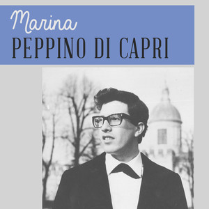 Marina cover