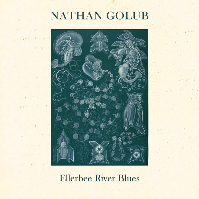 Nathan Golub Photo