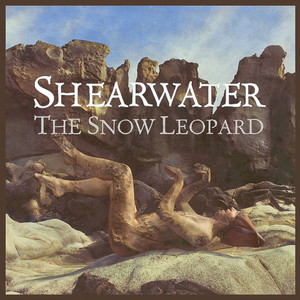 The Snow Leopard album