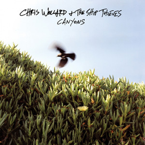 Canyons cover