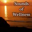 Sounds Of Wellness Albumcover