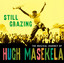 Still Grazing cover