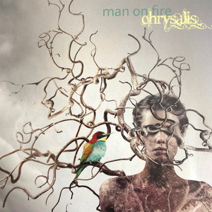 Chrysalis cover