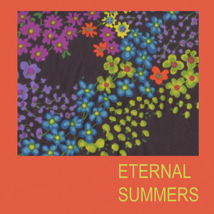 The Dawn of Eternal Summers cover