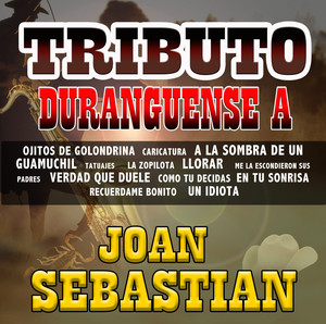 Tributo Duranguense album