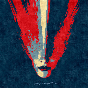 mirroor cover