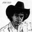 Joe Ely cover