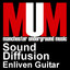 Enliven Guitar Albumcover