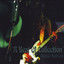 A Best of Collection cover