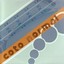 Coto Normal Albumcover