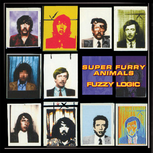 Fuzzy Logic (20th Anniversary Deluxe Edition) album