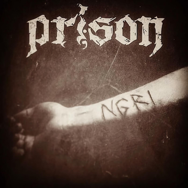 N.g.r.i. cover