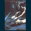 The Scream cover