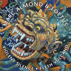 Violent Silence / Flesh Volcano album