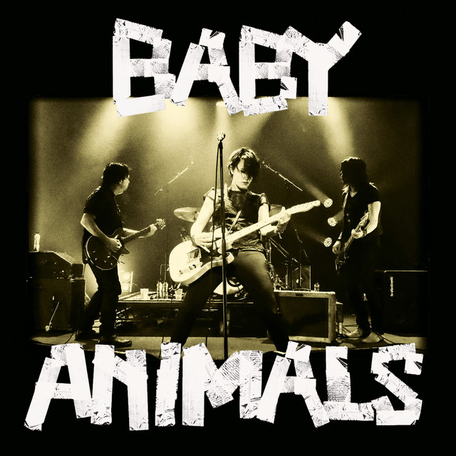 Baby Animals Live cover