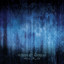 Alone in the Mist cover