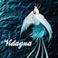 Vidagua Albumcover