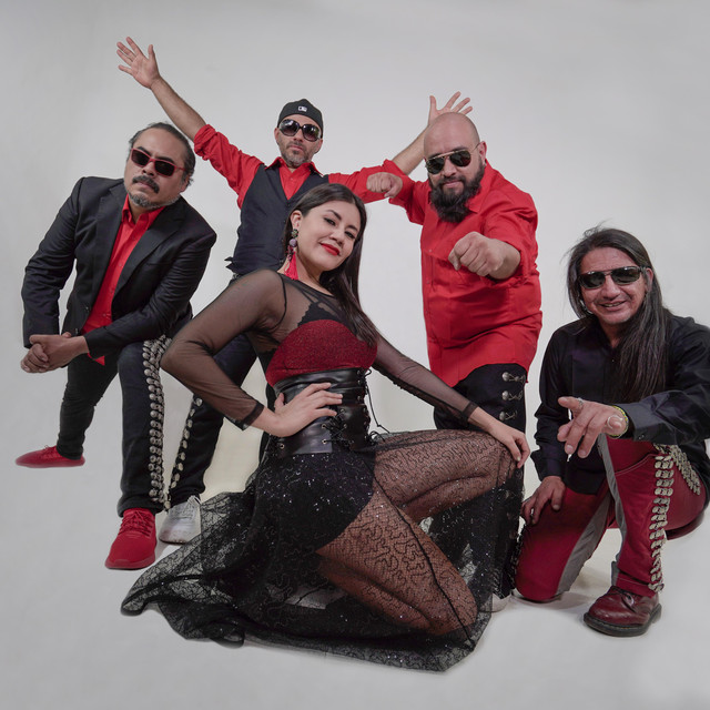 Los de Abajo photo
