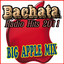 Bachata Radio Hits 2011 Albumcover