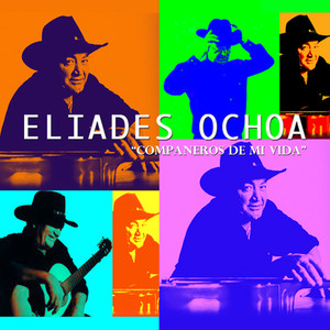 Companeros De Mi Vida cover