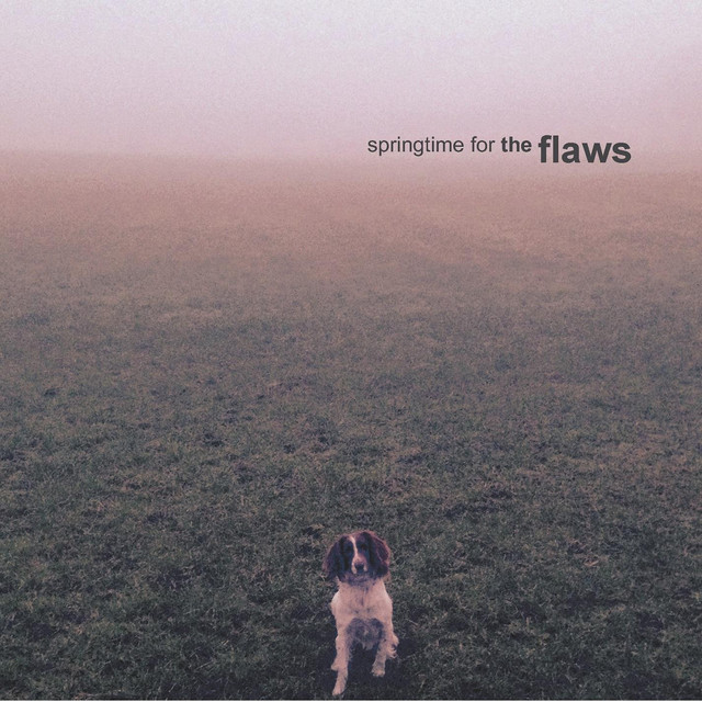Springtime For The Flaws cover