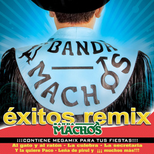 Exitos Remix album