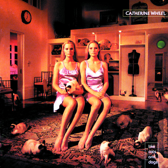 Like Cats And Dogs cover