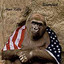 Silverback Albumcover