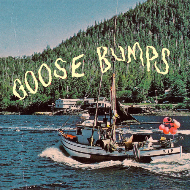 Goose Bumps cover