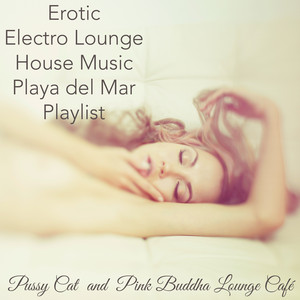 Erotic Electro Lounge House Music Playa del Mar Playlist album