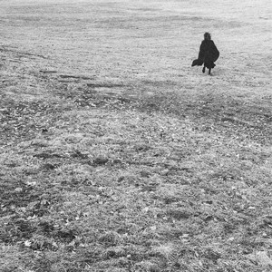 Willrijk Photo