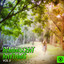Reminiscent Rhythms, Vol. 5 cover