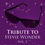 Tritbute to Stevie Wonder, Vol. 2 Albumcover
