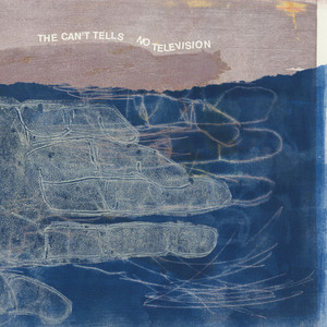 The Can't Tells Photo