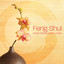 Feng Shui Albumcover