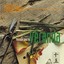 Feng shui: musique pour la véranda Albumcover