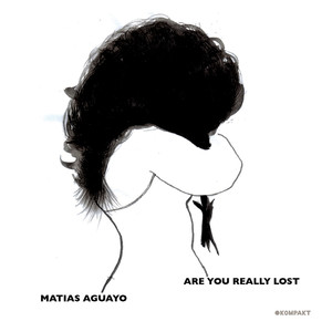 Are You Really Lost cover